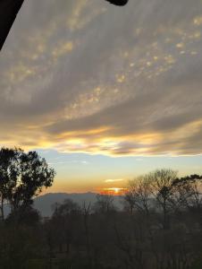 Warrior Homestay And Cafe