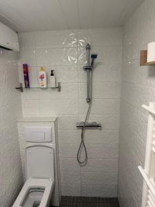 Charmant T1 au calme