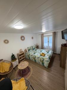 Charmant T1 au calme