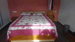 Willow Nest Cottages