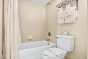 Daytona Beach Resort 532-White Turtle