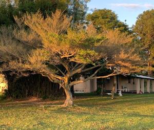 Sítio de Lazer Rancho Curió