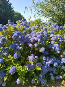 3 étoiles gîte, bocage, beaches, Mt St Michel, Bayeux, D-Day