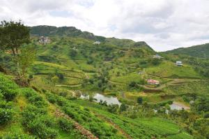 New Vagamon Holidays