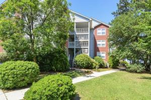 OYG6 - Peace of Paradise