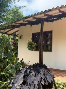 cabaña grande ecopolis hospedaje