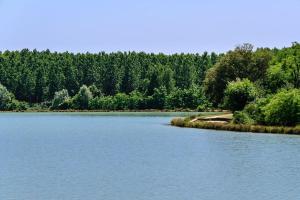 Beautiful house with character in village with garden