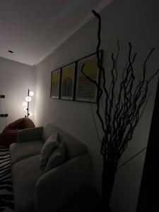 استديو مساحه مميزه بتصميم مودرن