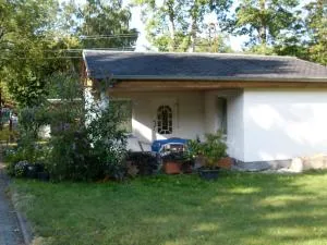 Waldblick - Branchewinda