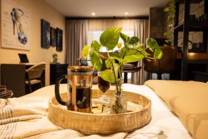 Loft Acogedor y con Estilo en la Mejor Zona