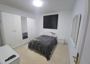 Penthouse with Panoramic Terrace and Views of Mount Teide