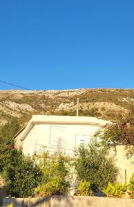 Apartmans White perl