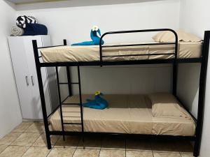 Apartamento el Bosque