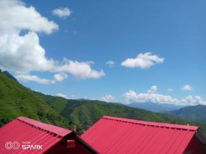 Vedic homestay Chakrata