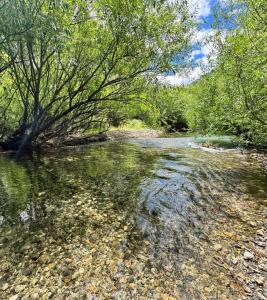 Cabañas san francisco