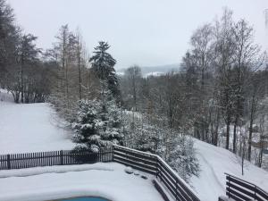 Holiday Villa Javornik