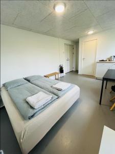 Vejle, Urhoej - Guest Suite