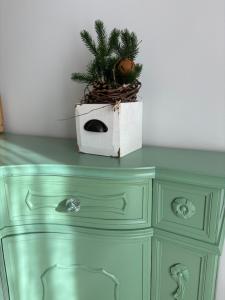 Appartamento Ginepro