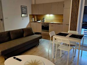 Apartament Studio Centrum