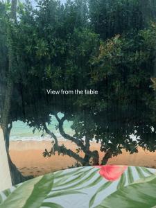 Breezy Beachfront Bali-Style Haven 180 Degree OceanView