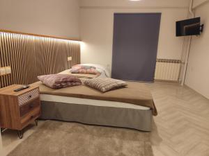 Urban Mountain House