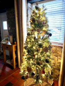 The Cwtch in Maesteg