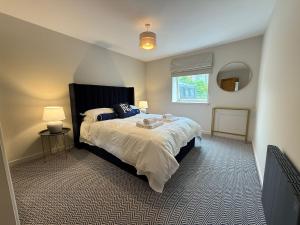 Modern Town Centre Apartment