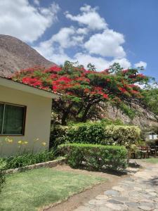 Casa de Campo en Santa Rosa de Quivez