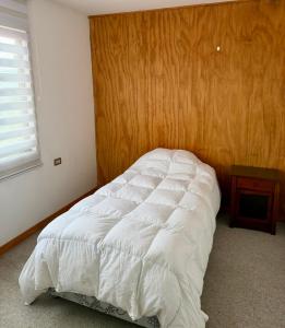 Apartamento Coyhaique