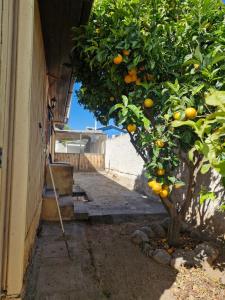 Casa El quisco condominio quebrada verde