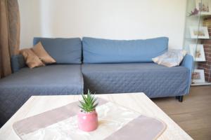 Apartament z podziemnym parkingiem ulica Wroclawska