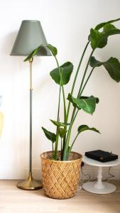 T2 Lumineux au Centre d Orsay Proche Gare RER