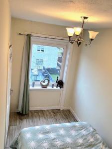 Room in Glasgow 20 mins away from city