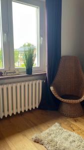 Ruhiges Zimmer zum Arbeiten oder Erholung mit Hund