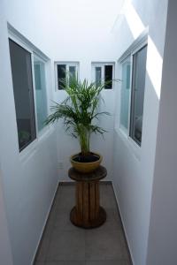 Villa Calma Hermoso espacio en la tranquilidad del Campo Huimilpan