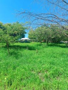 Villa Calma Hermoso espacio en la tranquilidad del Campo Huimilpan