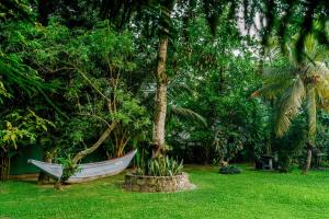 Le Palme Ahangama