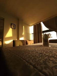 Entire Space in Downtown Oaxaca Comfortable