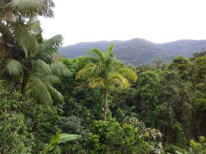 Casa de Praia Ubatuba SP