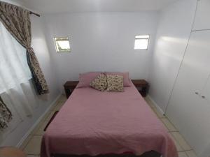 Departamento rentado diario