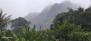 Trang An Green Bungalow & Restaurant