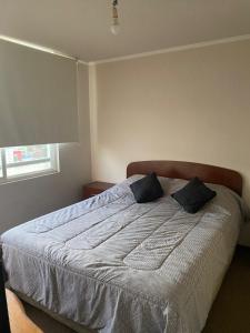 Viña del mar a pasos del Terminal, 3 personas