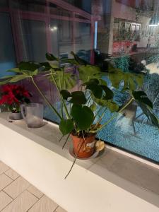 Luxe Stay Large Apartment with Garden and Garage in the center of Moorsele