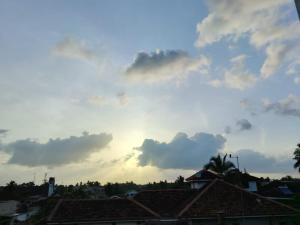 Cinnamon Shade by Achievers