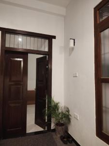 Cinnamon Shade by Achievers