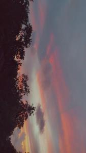 Cinnamon Shade by Achievers