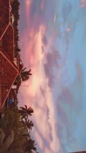 Cinnamon Shade by Achievers