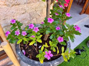 Bali Dream Villa in the heart of Sanurs premier Shopping, Dining and Entertainment