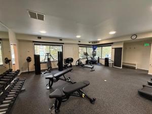 Chateau Roaring Fork 22, Mountain Chic 4-Bedroom Condo on Roaring Fork River – Walk to Downtown Aspen