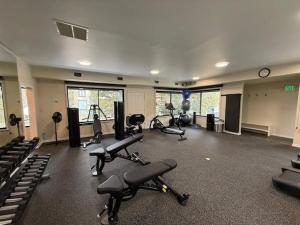 Chateau Roaring Fork Unit 25, Contemporary Condo with River Views, Close to Town